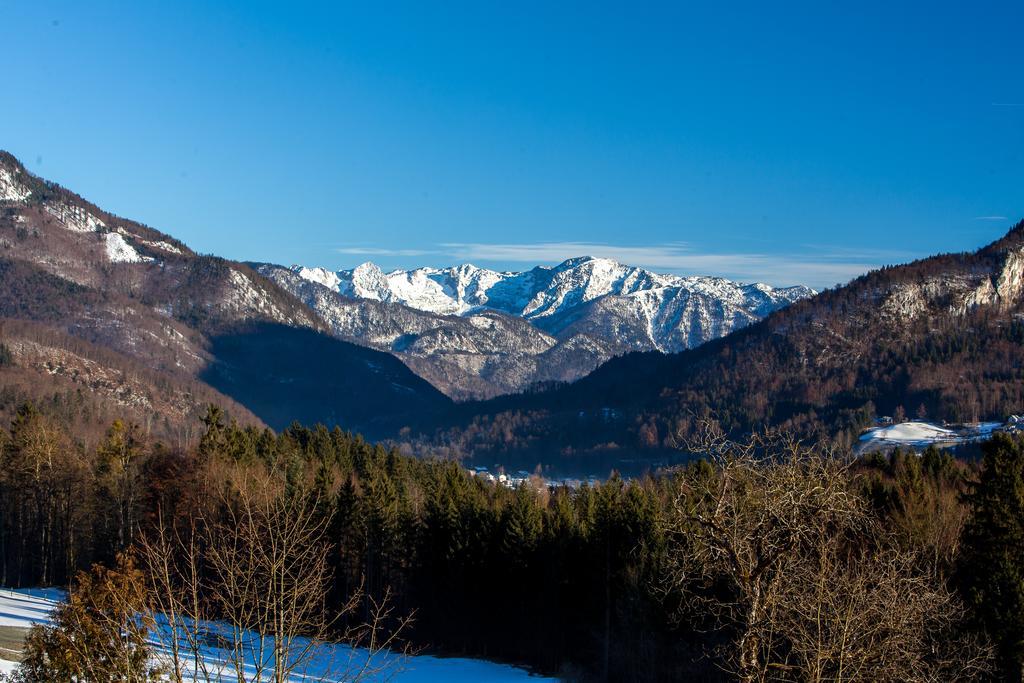 Appartement-hotel Dachstein